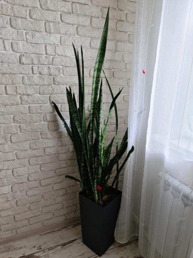 Prime Apartments 格罗德诺 外观 照片